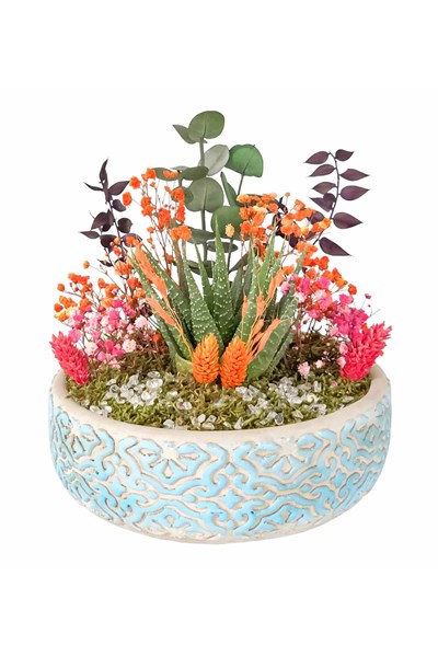 sukulent aranjmanı gönder