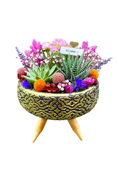 sukulent aranjmanı gönder