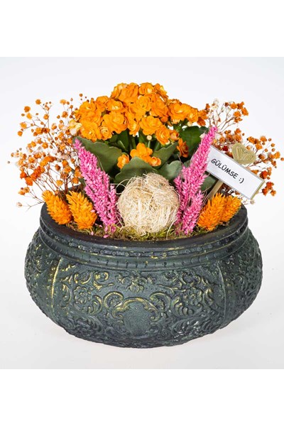 kalanchoe sukulent çiçek