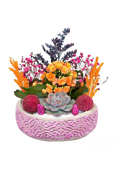 sukulent aranjmanı gönder