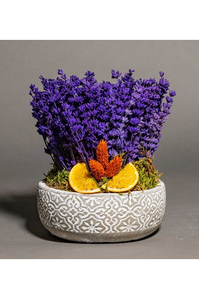 Lavanta gönder çiçek