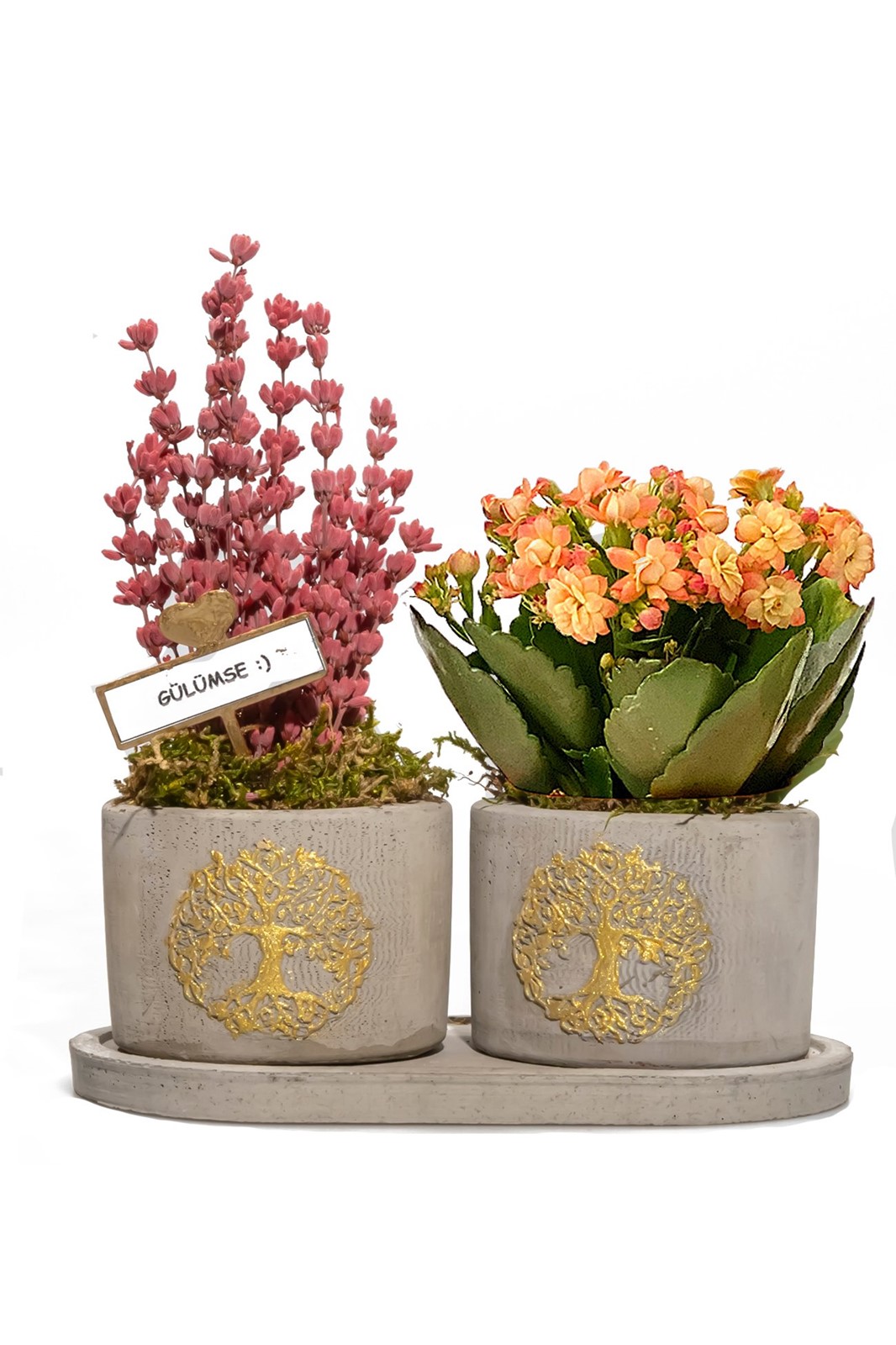 Ankara Cadde Çiçek