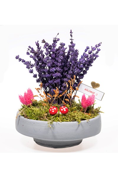 Lavanta gönder çiçek