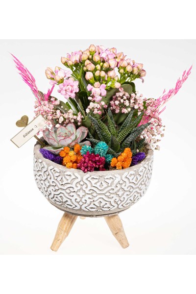 sukulent aranjmanı gönder