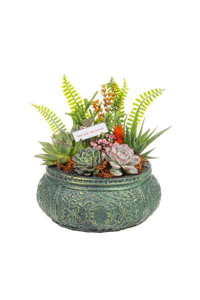 sukulent aranjmanı gönder