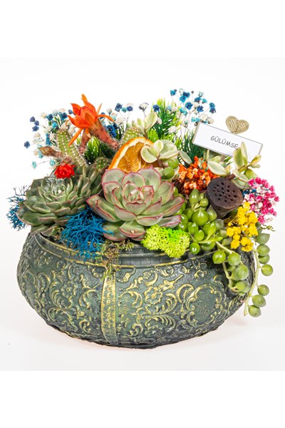 sukulent aranjmanı gönder