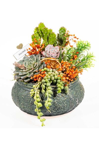 Sukulent Arajmanı Gönder